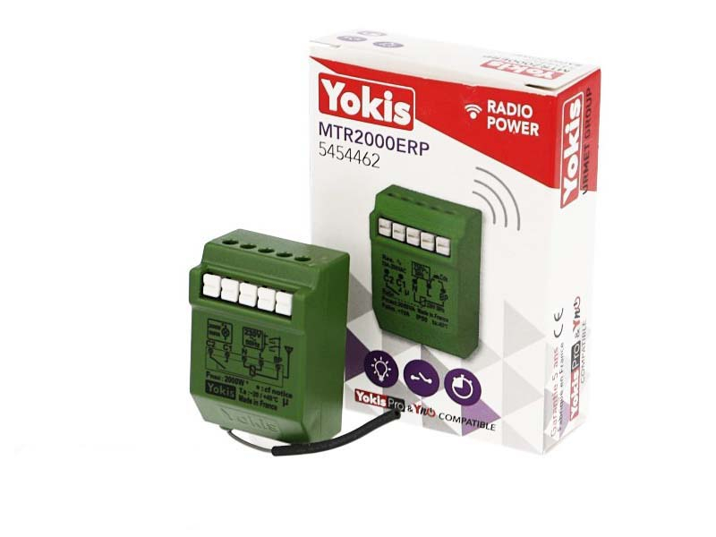 Micromodule télérupteur temporisé 2000W radio POWER Yokis