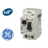 Interrupteur Différentiel 2P 40A / 30mA / type A à bornes automatiques