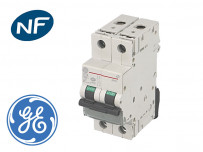Disjoncteur modulaire bipolaire