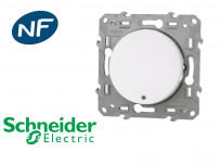 Bouton poussoir lumineux localisation Schneider Odace