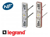 Voyant Legrand Mosaic composable