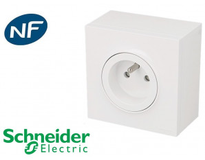 Onduleur et Multiprise de Protection: Multiprise de protecton Schneider  Electric 5 prises 2P+T