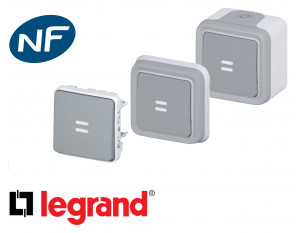 Poussoir lumineux Legrand Plexo™ gris 