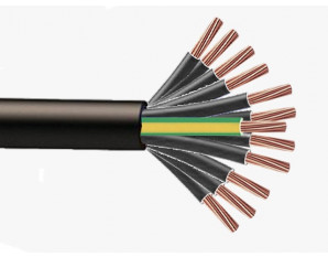 Cable RO2V 12G2.5mm² à la coupe (minimum 10m)