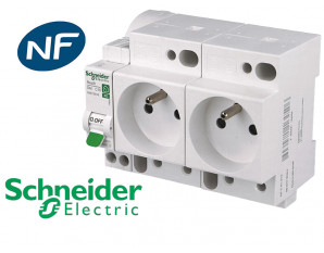 Schneider - LOT PROS - PC 2P+T 16A 220V Modulaire x 2 + disjoncteur 16A -  R9PCS616x2+R9PFC616 - ELECdirect Vente Matériel Électrique