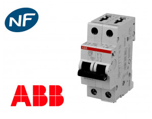 Disjoncteur bipolaire modulaire 6kA courbe C ABB