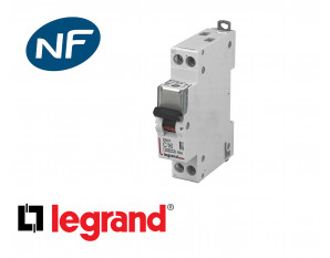 Disjoncteur DPN à vis Legrand DNX³