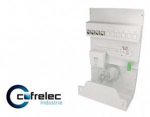 Kit de communication grade 3 pour GTL Cofrelec