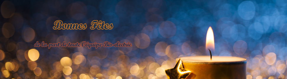 Nous vous souhaitons de joyeuses fêtes de fin d'année en compagnie de bis-electric.com, votre distributeur de materiel electrique