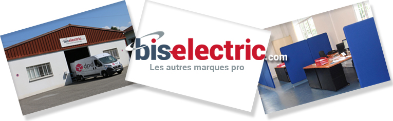 locaux entreprise bis electric